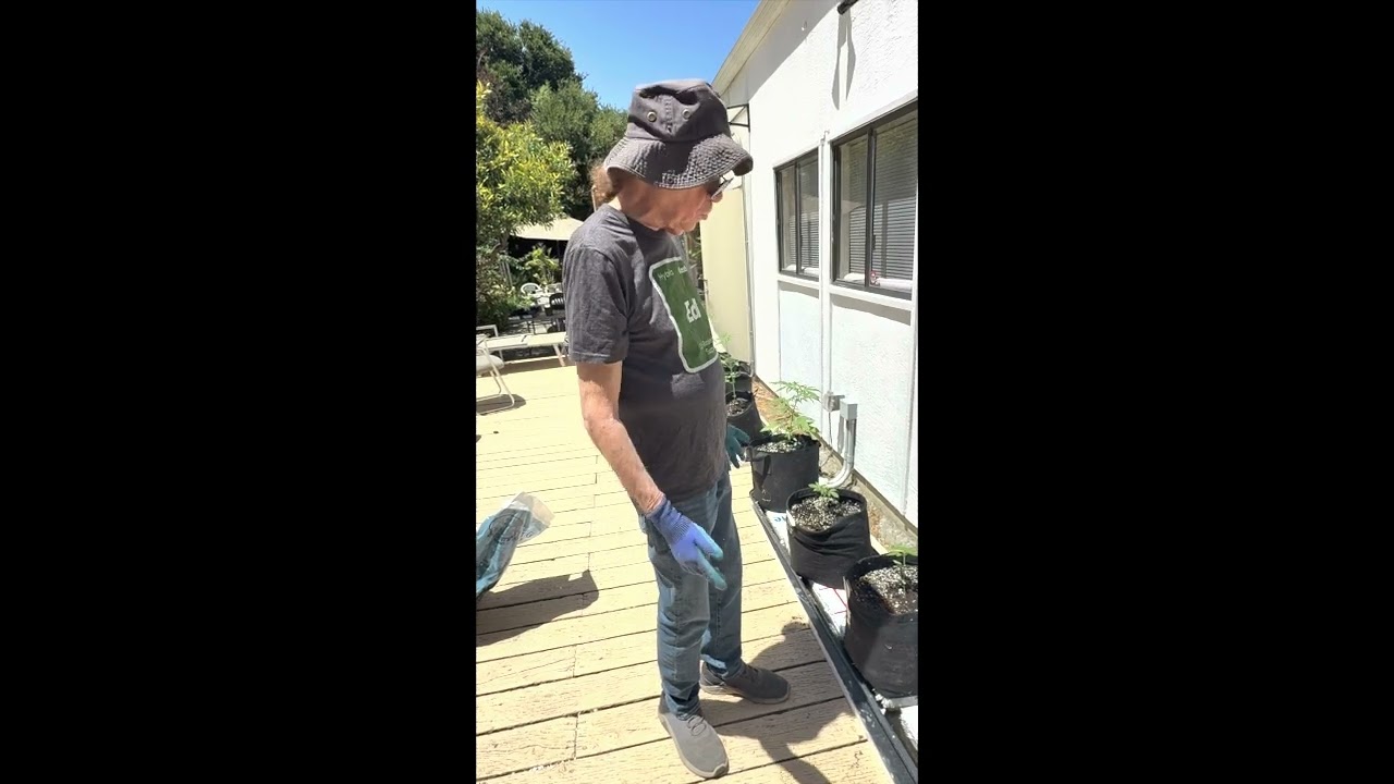 Ed Rosenthal DIY Self Watering Wick System