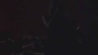 05 - Picture Me Broken - Skin & Bones (Live)