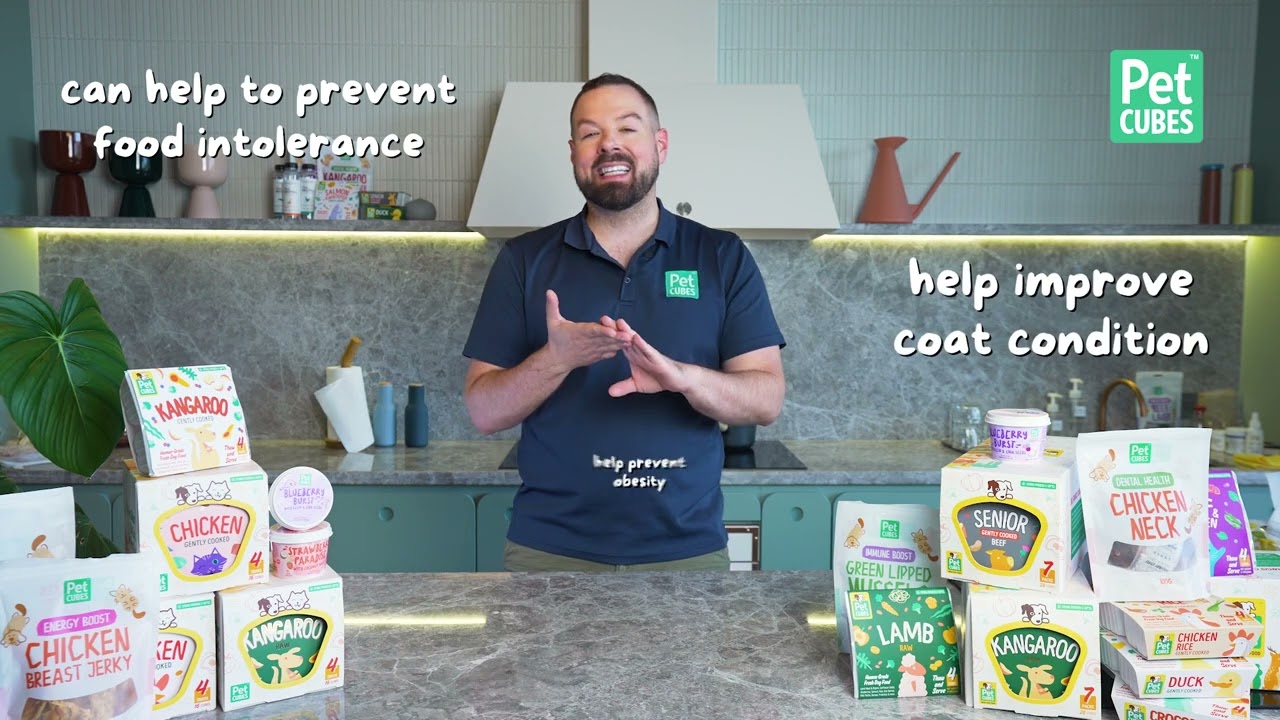 Vegan Pet Food | Vegetarian Dog Food | Can my dog have a vegan diet? | Can my cat have a vegan diet?