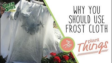 How and Why to Use Frost Cloth