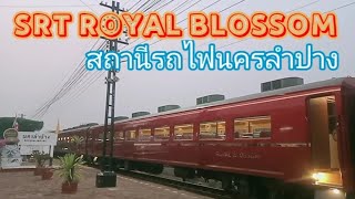 ยลโฉม SRT ROYAL BLOSSOM ที่สถานีรถไฟนครลำปาง | 16/03/2567 #รถไฟไทย