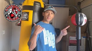 Whats The Best Bag For Boxing?- Heavy Bag, Double End Bag, Or Cobra Reflex Bag?