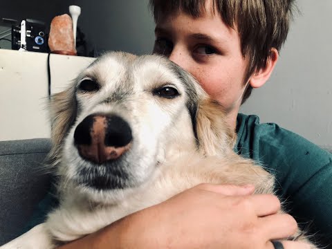 AUTOTUNE DOG | MAGGIE | 2020!