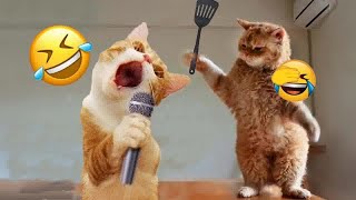 Hilarious Cats and Dogs😹🐶Funniest Animals 2024😺🐕‍🦺Part 10