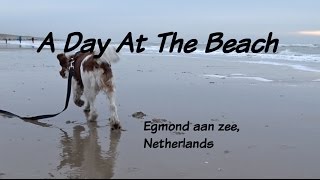 A Day At The Beach With The Dog (2) by Sebastian Matthijsen 301 views 8 years ago 1 minute, 51 seconds