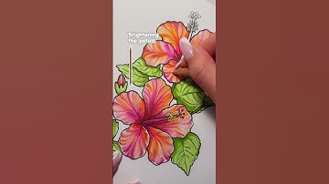 Coloring hibiscus using Ohuhu alcohol markers. Video step-by-step tutorial. #victoriabloomcoloring