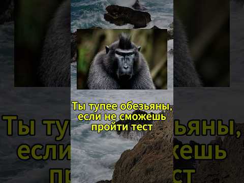 Тест для всех #викторина #тест #вопросы #угадай #quiz #квиз #iqtest
