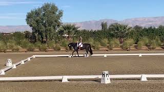 Don Snow EQ ☆ 76.8% Training Level Test 2 — Desert Dressage III