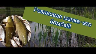 Резиновая манка с чесноком это бомба!!!удачная рыбалка#рыбалка 2021