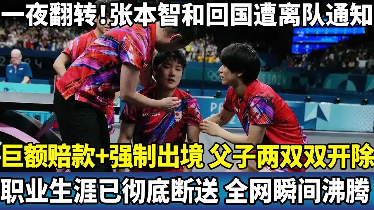 一夜翻转！张本智和回国遭离队通知，巨额赔款+强制出境，父子两双双开除，职业生涯已彻底断送，全网瞬间沸腾。