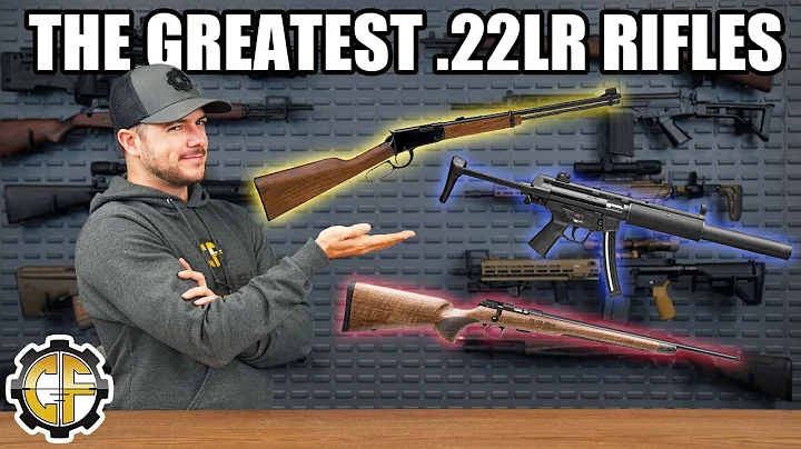 The Top 5 .22LR Rifles