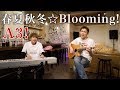 A3! / 春夏秋冬☆Blooming! covered by Lambsoars(ラムソア)