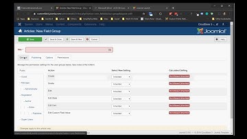 2019 CustomFields css