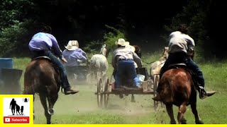 Buckboard Wagon Races - What About Bob Chuckwagon Races 2022 |  Saturday