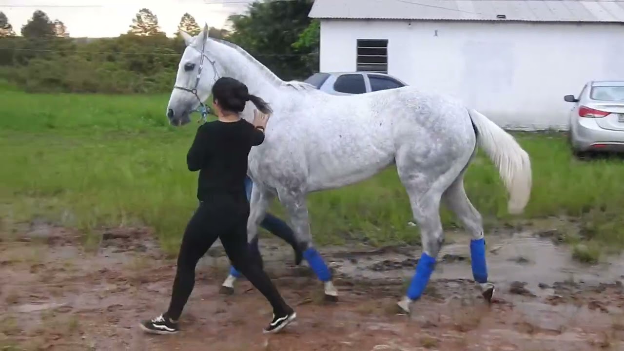 JOCKEY CLUB DE RIO PARDO - GP ENTRE AMIGOS - 400 METROS