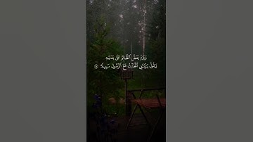 خالد الجليل سورة الفرقان  الأية (27) تلاوة مميزة ومؤثرة
