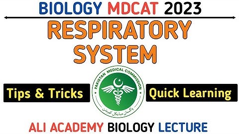 Respiratory System | MDCAT 2023 | Life Process