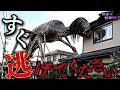 【新作】出会ったら即○亡!?凶悪すぎる『SCP』がツッコミどころ満載だったwwwwww #2【なろ屋】【ツッコミ】