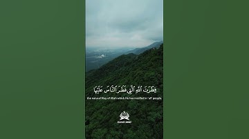 سورة الروم الآية ٣٠    #المنشاوي #المصحف  #اكسبلور #قران_كريم