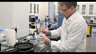Beyond Meat and Impossible Foods - 2018 Champions of the Earth