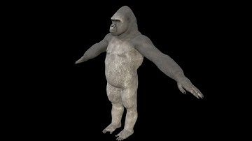 [Free3D] Gorilla