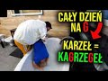 Mówimy innym językiem przez cały dzień Kamerzysta reupload