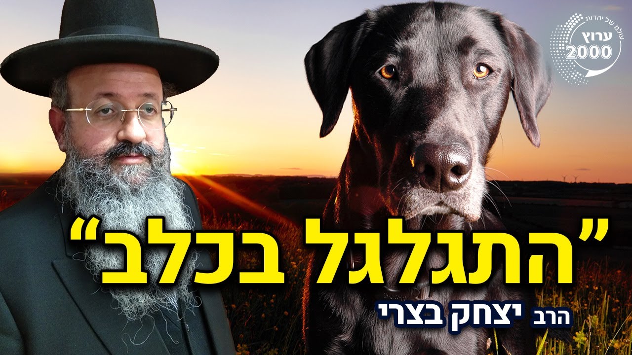 כלב