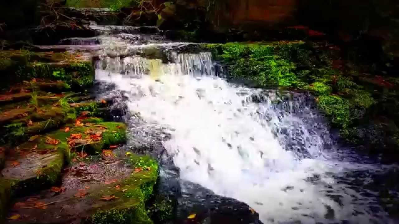 riverdale Relaxing Secluded Waterfall - Sounds of Nature - 20 Minutes (Sleep, Study, Meditation, Ambience)