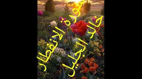 سورة الانفطار بصوت خالد الجليل