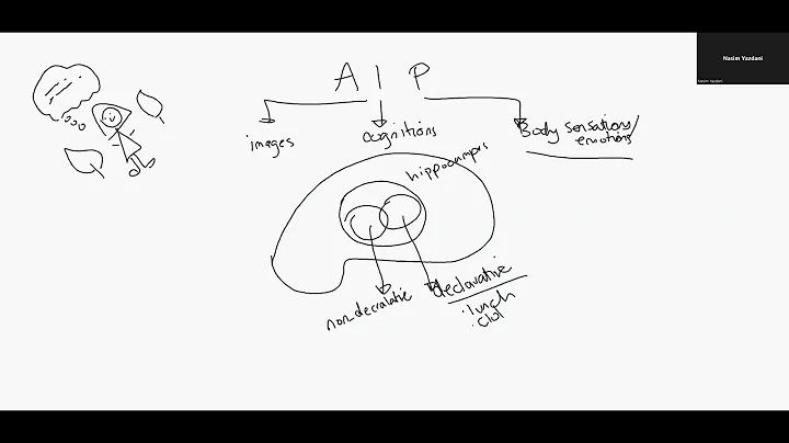 Adaptive Information Processing Theory by Dr Franc...