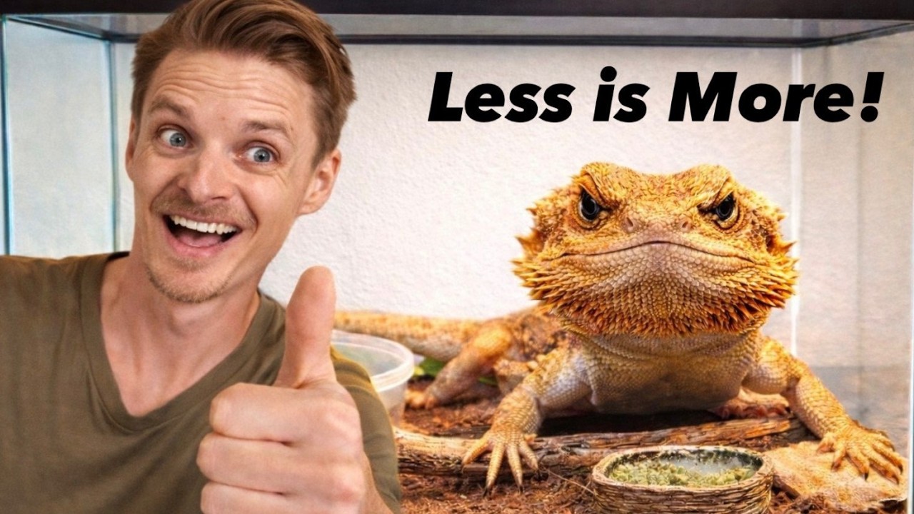 Less is More! Does Your Reptile Really Need That Much?