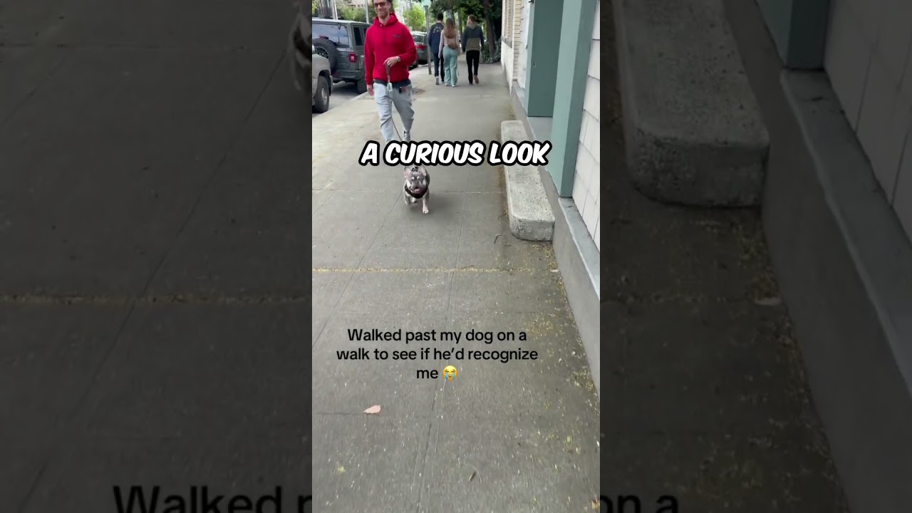 Her dog couldn’t believe it was her 😂