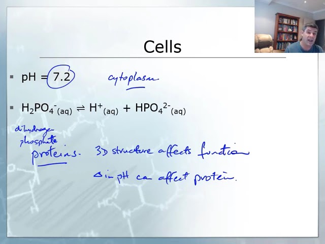 Natural buffers: cells | Acids and bases | meriSTEM