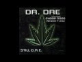 Dr dre  still dre feat snoop dogg  engo flow