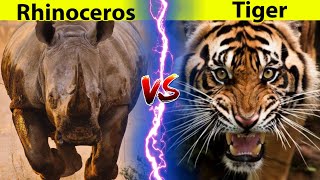 Siberian Tiger vs Rhinoceros
