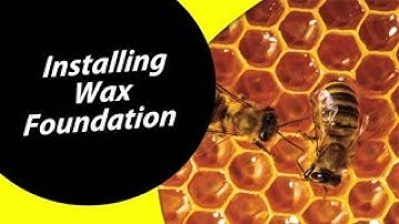 How To Install A Wax Foundation For Your Beehive For Dummies