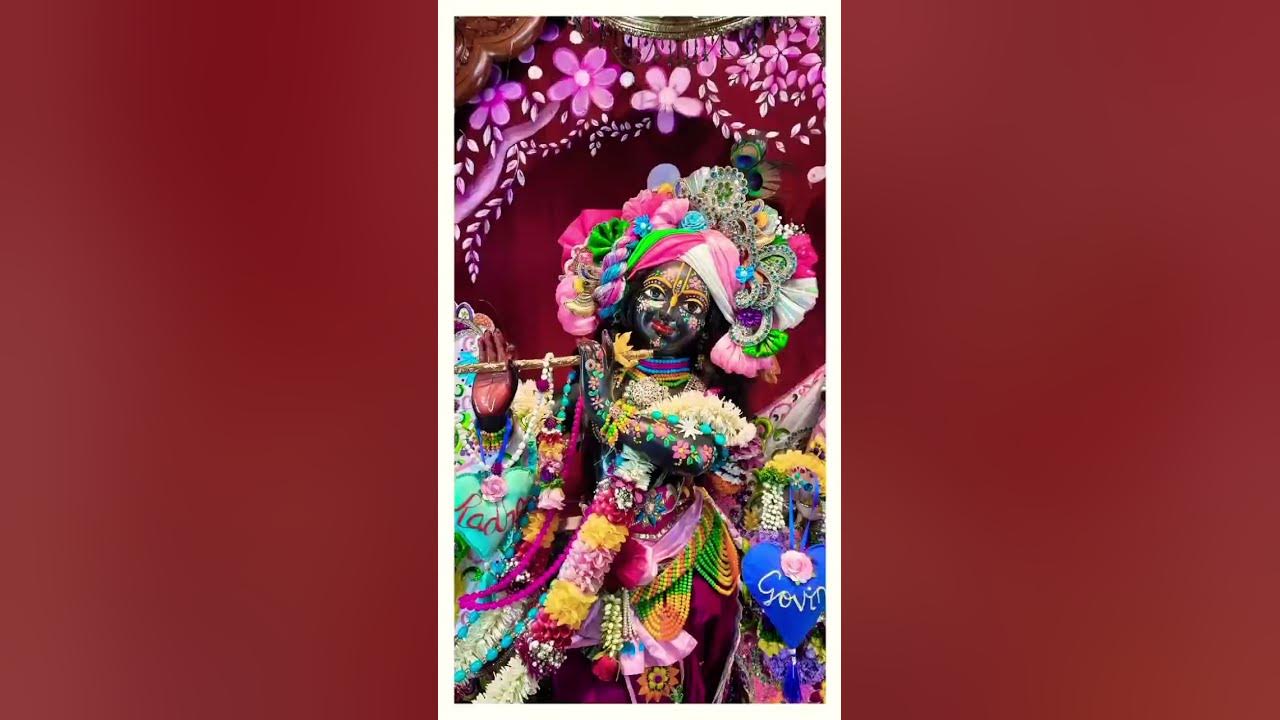 ️Latest Krishna Status🌷 😍Man Basiya O kanha ️ WhatsApp Status 🍁