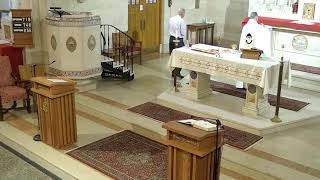 Feast of St Charbel