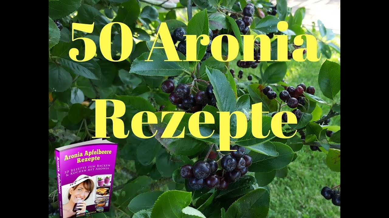 Mirabellenlikör Rezepte Aronia Rezepte Aronia Verarbeitung 50 Aronia Rezepte kostenlos für Sie