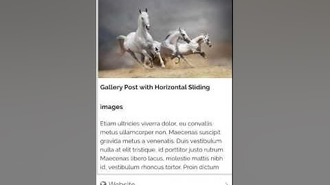 Wordpress iOS application