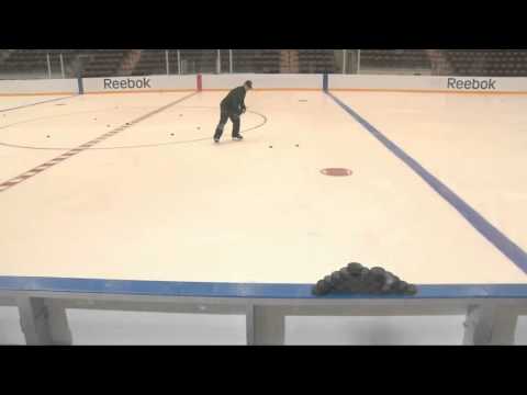 Sidney Crosby Puck