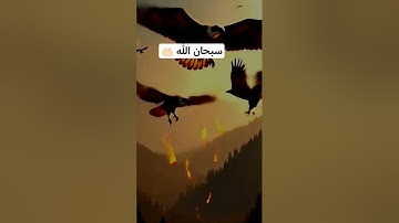 #بسم_الله_الرحمن_الرحيم #صوت_جميل #شيخ احمدالعجمي #تلاوة_خاشعة #رح_سمعك #اكسبلور #viral #300k#fyp#fo