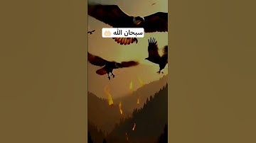 #بسم_الله_الرحمن_الرحيم #صوت_جميل #شيخ احمدالعجمي #تلاوة_خاشعة #رح_سمعك #اكسبلور #viral #300k#fyp#fo