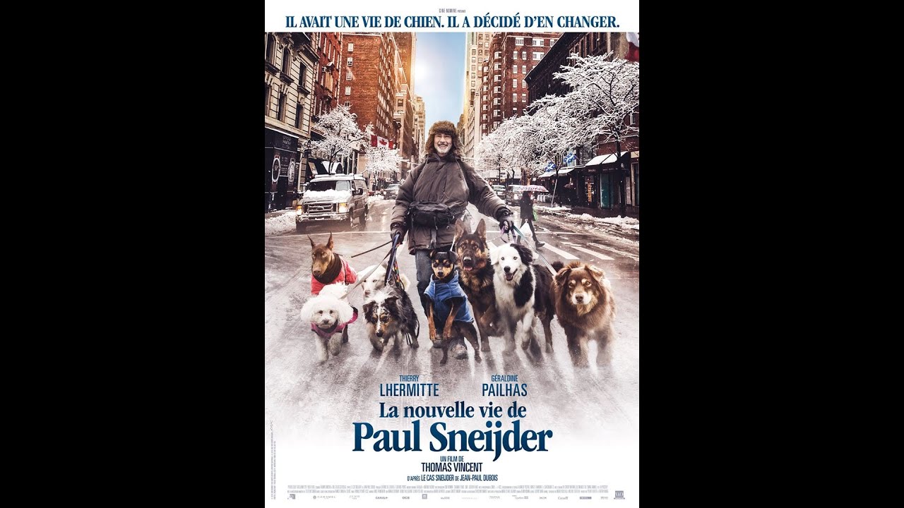 La Nouvelle Vie de Paul Sneijder (2016) WebRip en Français (HD 1080p ...