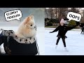 Funny Dog Reacts to Mom&#39;s Figure Skating Fails