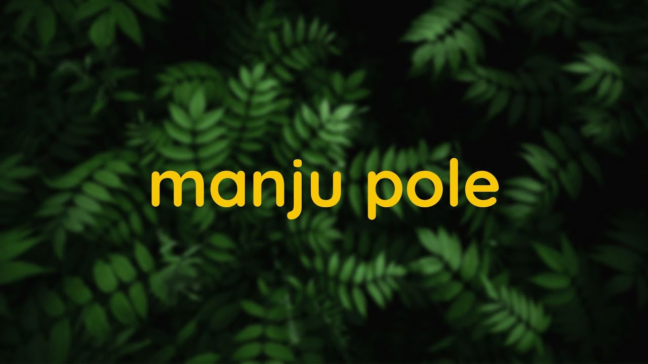 Manju Pole ~ slowed + reverb malayalam lofi ~ malayalam songs