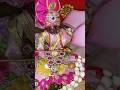 Happy krishna janmashtami   bhog prasad darshan   digital diaries ytshorts janmashtami