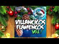 Villancicos Flamencos , Rumbas Navideñas DJ Akua Music🎄 2023 - 2024
