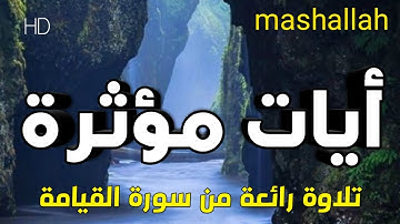 ما اجملها تلاوة🌸 من سورة القيامة كلها جمال وروعة في الخشوع و أداء الصوت