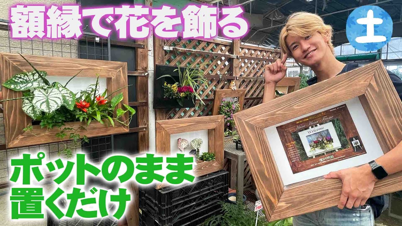 花と緑のグリーンバレイ】超簡単！額縁型プランターで絵画を描くように